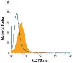 Invitrogen CCL21 Polyclonal Antibody 100 &mu;g; Unconjugated:Antibodies,