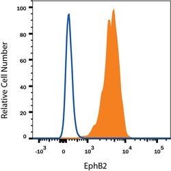 Invitrogen EphB2 Polyclonal Antibody 100 &mu;g; Unconjugated:Antibodies,
