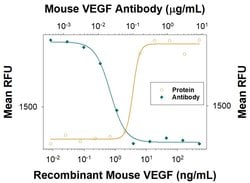 Invitrogen VEGF-164 Polyclonal Antibody 100 &mu;g; Unconjugated:Antibodies,