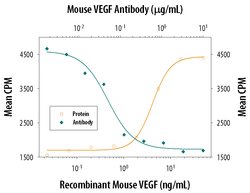 Invitrogen VEGF-164 Polyclonal Antibody 100 &mu;g; Unconjugated:Antibodies,