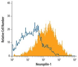Invitrogen Neuropilin 1 Polyclonal Antibody 100 &mu;g | Buy Online | Invitrogen&trade; | Fisher Scientific