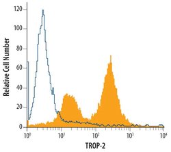 Invitrogen TROP2 Polyclonal Antibody 100 &mu;g; Unconjugated:Anticuerpos