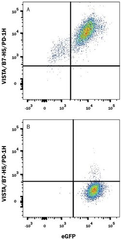 Invitrogen VISTA Polyclonal Antibody 100 &mu;g; Unconjugated:Antibodies,