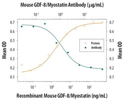 Invitrogen Myostatin Polyclonal Antibody 100 &mu;g | Buy Online | Invitrogen&trade; | Fisher Scientific