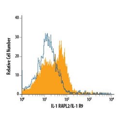 Invitrogen IL1RAPL2 Polyclonal Antibody 100 &mu;g | Buy Online | Invitrogen&trade; | Fisher Scientific