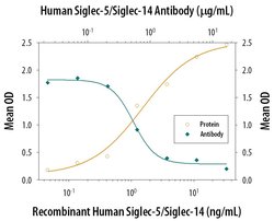 Invitrogen SIGLEC5 Polyclonal Antibody 100 &mu;g; Unconjugated:Antibodies,