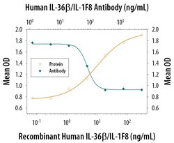 Invitrogen IL36B Polyclonal Antibody 100 μg; Unconjugated:Antibodies,