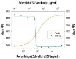 Invitrogen VEGF-165 Polyclonal Antibody 100 &mu;g; Unconjugated:Antibodies,