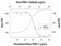 Invitrogen PDGF-C Polyclonal Antibody 100 &mu;g; Unconjugated:Antibodies,