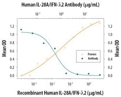 Invitrogen IL-28A Polyclonal Antibody 100 &mu;g; Unconjugated:Antibodies,