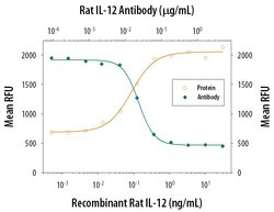 Invitrogen IL-12 p40 Polyclonal Antibody 100 &mu;g; Unconjugated:Antibodies,