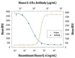 Invitrogen IL-6 Receptor Polyclonal Antibody 100 &mu;g; Unconjugated:Antibodies,