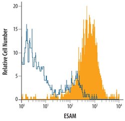 ESAM Polyclonal Antibody:Antibodies, Polyclonal