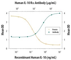 Invitrogen IL10RA Polyclonal Antibody 100 &mu;g; Unconjugated:Antibodies,