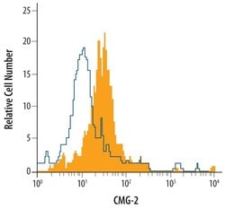 Invitrogen CMG2 Polyclonal Antibody 100 &mu;g; Unconjugated:Antibodies,