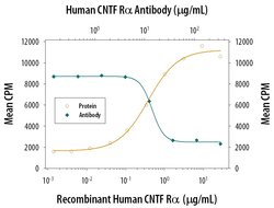 Invitrogen CNTFR Polyclonal Antibody 100 μg; Unconjugated:Antibodies,