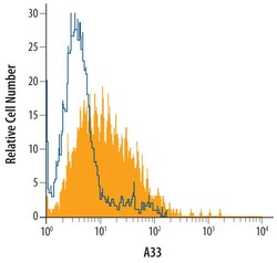Invitrogen A33 Polyclonal Antibody 100 &mu;g; Unconjugated:Antibodies,