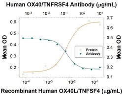 Invitrogen OX40 Polyclonal Antibody 100 &mu;g; Unconjugated:Antibodies,