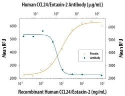 Invitrogen Eotaxin 2 Polyclonal Antibody 100 &mu;g; Unconjugated:Antibodies,