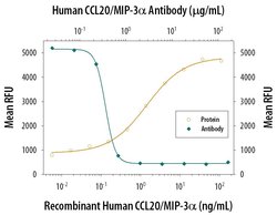 Invitrogen MIP-3 alpha Polyclonal Antibody 100 &mu;g; Unconjugated:Antibodies,