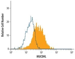 Invitrogen CDHR5 Polyclonal Antibody 100 &mu;g; Unconjugated:Antibodies,