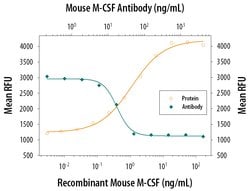 Invitrogen M-CSF Polyclonal Antibody 100 &mu;g; Unconjugated:Antibodies,