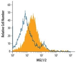 Invitrogen CD301a/b Polyclonal Antibody 100 &mu;g; Unconjugated:Antibodies,