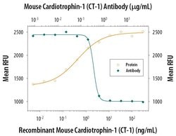 Invitrogen Cardiotrophin 1 Polyclonal Antibody 100 &mu;g; Unconjugated:Antibodies,