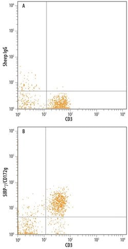 Invitrogen SIRP gamma Polyclonal Antibody 100 &mu;g; Unconjugated:Antibodies,