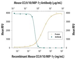 Invitrogen MIP-1 gamma Polyclonal Antibody 100 &mu;g; Unconjugated:Antibodies,