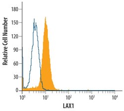 Invitrogen LAX1 Polyclonal Antibody 100 &mu;g | Buy Online | Invitrogen&trade; | Fisher Scientific