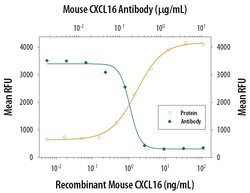 Invitrogen CXCL16 Polyclonal Antibody 100 &mu;g; Unconjugated:Antibodies,