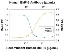 Invitrogen BMP-6 Polyclonal Antibody 100 &mu;g | Buy Online | Invitrogen&trade; | Fisher Scientific