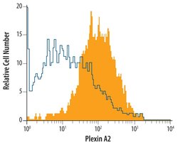 Invitrogen Plexin A2 Polyclonal Antibody 100 &mu;g; Unconjugated:Antibodies,