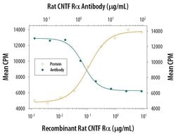 Invitrogen CNTFR Polyclonal Antibody 100 &mu;g; Unconjugated:Antibodies,
