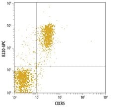CXCR5 Polyclonal Antibody:Antibodies, Polyclonal
