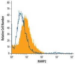 Invitrogen RAMP2 Polyclonal Antibody 100 &mu;g; Unconjugated:Antibodies,