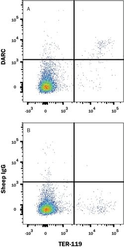 Invitrogen DARC Polyclonal Antibody 100 &mu;g; Unconjugated:Antibodies,