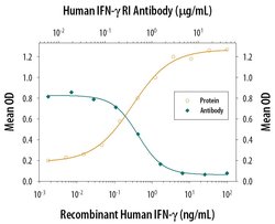 Invitrogen IFNGR1 Polyclonal Antibody 100 &mu;g; Unconjugated:Antibodies,