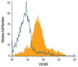 Invitrogen CELSR2 Polyclonal Antibody 100 &mu;g; Unconjugated:Antibodies,