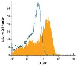 Invitrogen CELSR2 Polyclonal Antibody 100 &mu;g; Unconjugated:Antibodies,