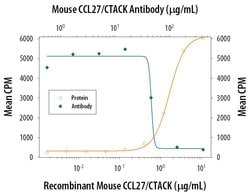 Invitrogen CCL27 Polyclonal Antibody 100 &mu;g; Unconjugated:Antibodies,