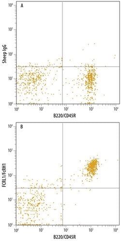Invitrogen FCRL1 Polyclonal Antibody 100 &mu;g; Unconjugated:Antibodies,