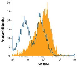 Invitrogen SLC39A4 Polyclonal Antibody 100 &mu;g | Buy Online | Invitrogen&trade; | Fisher Scientific