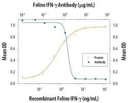 Invitrogen IFN gamma Polyclonal Antibody 100 &mu;g | Buy Online | Invitrogen&trade; | Fisher Scientific