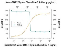 Invitrogen PPBP Polyclonal Antibody 100 &mu;g; Unconjugated:Antibodies,