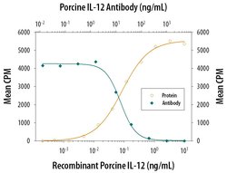 IL-12 p70 Polyclonal Antibody:Antibodies, Polyclonal