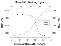 Invitrogen FGF16 Polyclonal Antibody 100 &mu;g; Unconjugated:Antibodies,
