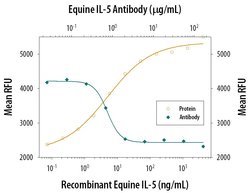 Invitrogen IL-5 Polyclonal Antibody 100 &mu;g; Unconjugated:Antibodies,