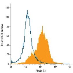 Invitrogen PLXNB3 Polyclonal Antibody 100 &mu;g; Unconjugated:Antibodies,
